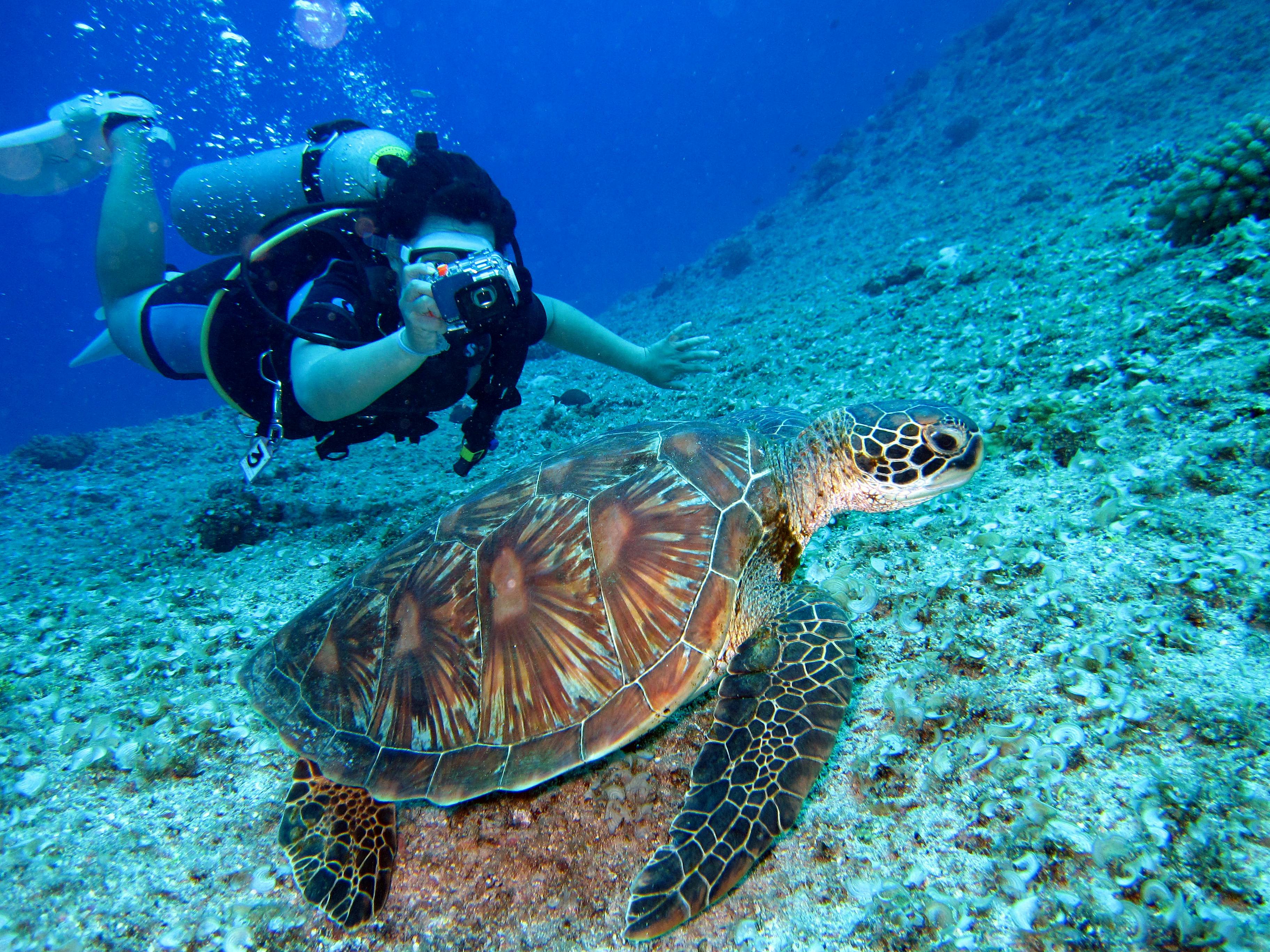 Scuba Diving in Andaman